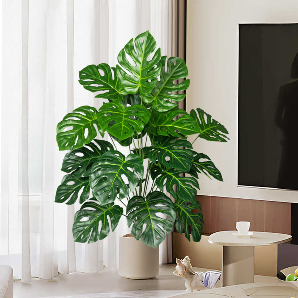 70-100 سنتيمتر شجرة Monstera ا - مراجعة Home Office Layout وسعره